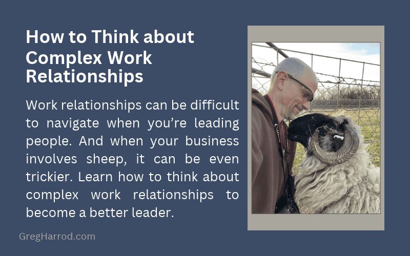 How to Think about Complex Work Relationships